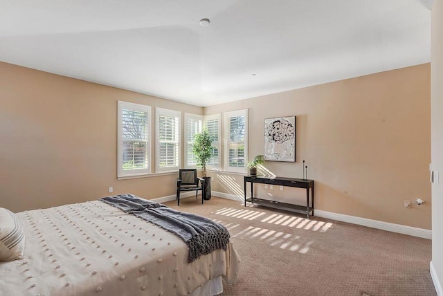 bedroom featuring carpet