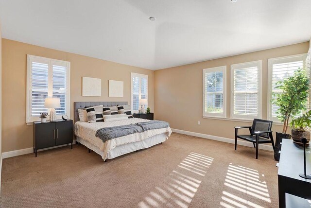 bedroom with multiple windows and light colored carpet