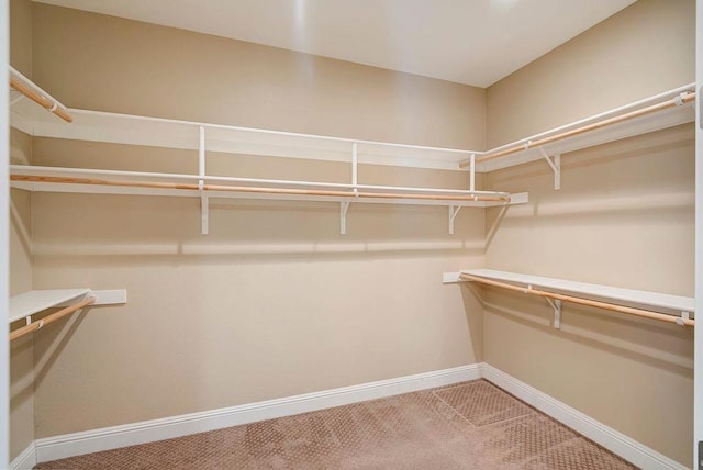 walk in closet with carpet flooring