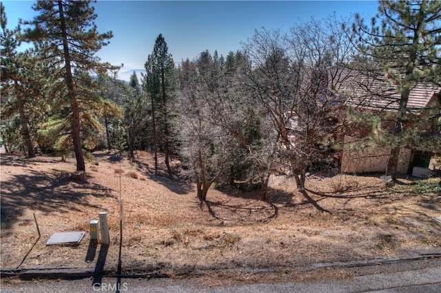 Listing photo 3 for 0 Enchanted Way, Running Springs CA 92382