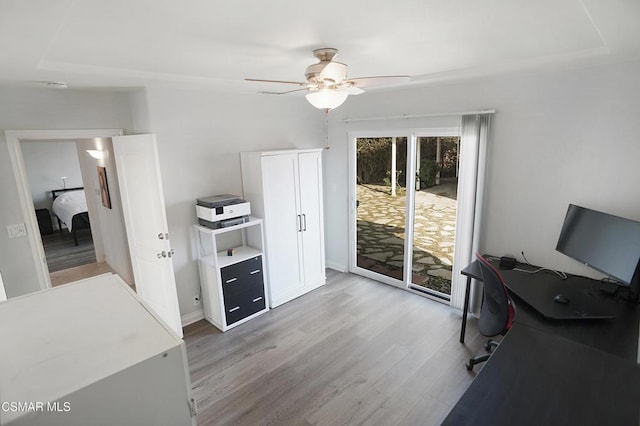 office space featuring ceiling fan and light wood-type flooring