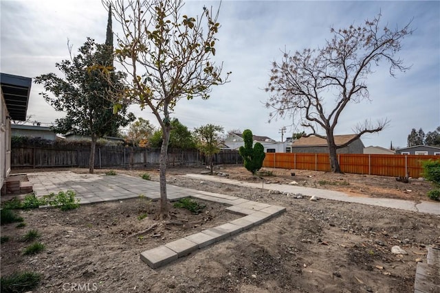 view of yard featuring a patio