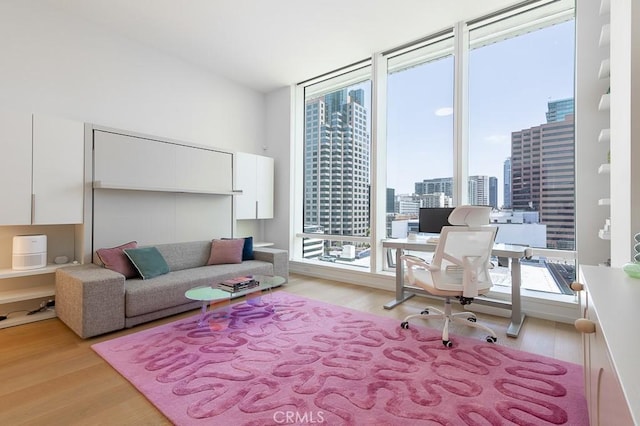 office space featuring expansive windows and light wood-type flooring