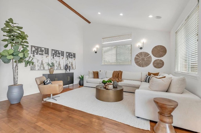 living room featuring wood-type flooring and high vaulted ceiling