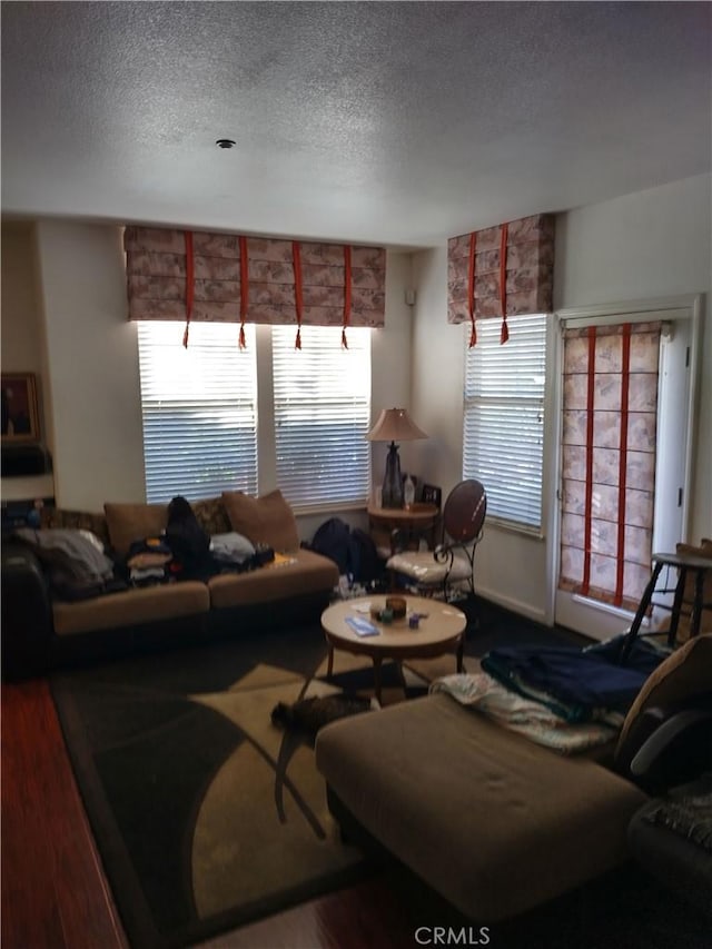 living room with hardwood / wood-style flooring, a textured ceiling, and a wealth of natural light