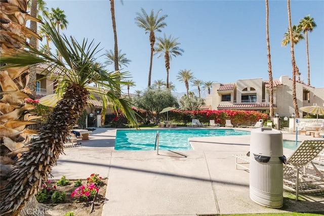 view of pool featuring a patio