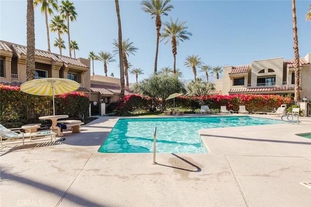 view of pool with a patio