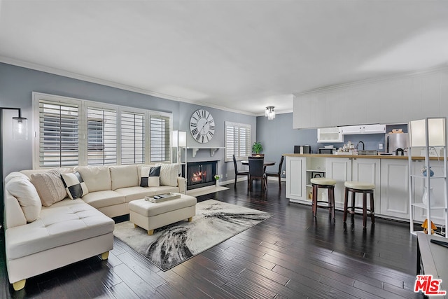 living room with ornamental molding, sink, and dark hardwood / wood-style flooring