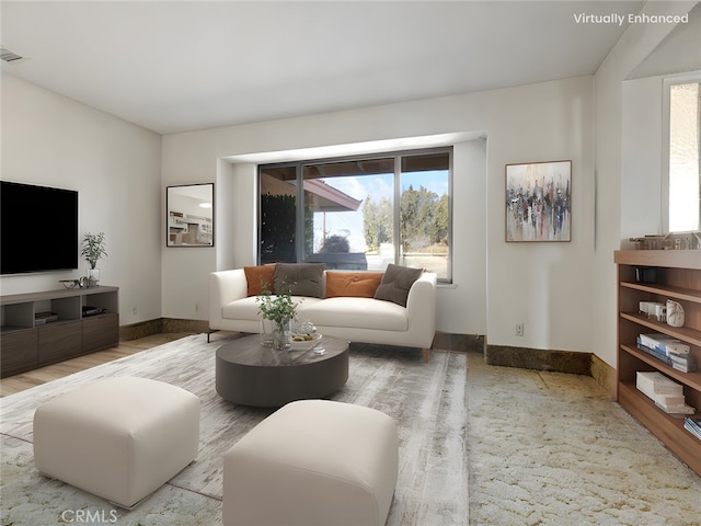 living room featuring wood-type flooring