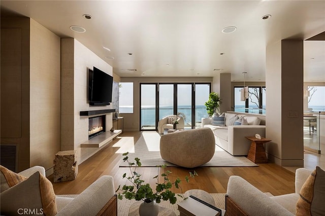 living room with a fireplace and light wood-type flooring