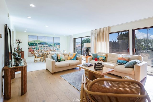 living room featuring light hardwood / wood-style flooring