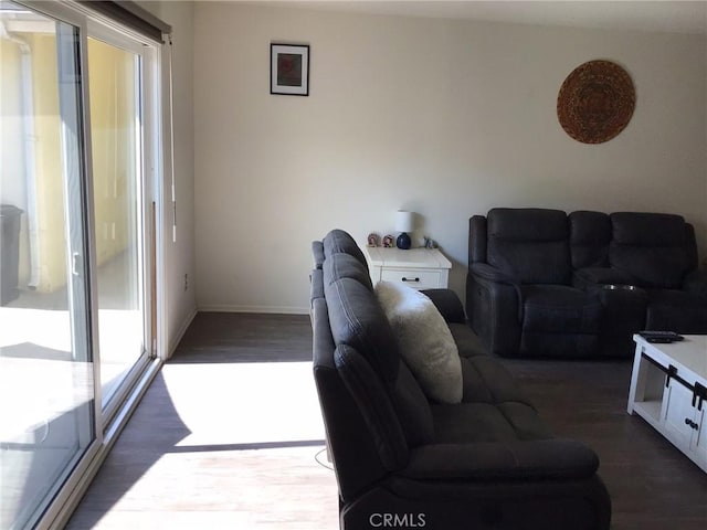 living room featuring dark wood-type flooring