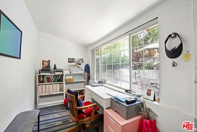 office featuring lofted ceiling