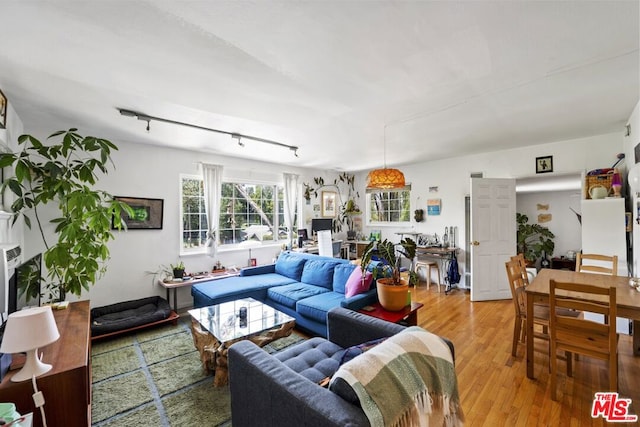 living room featuring hardwood / wood-style flooring and rail lighting