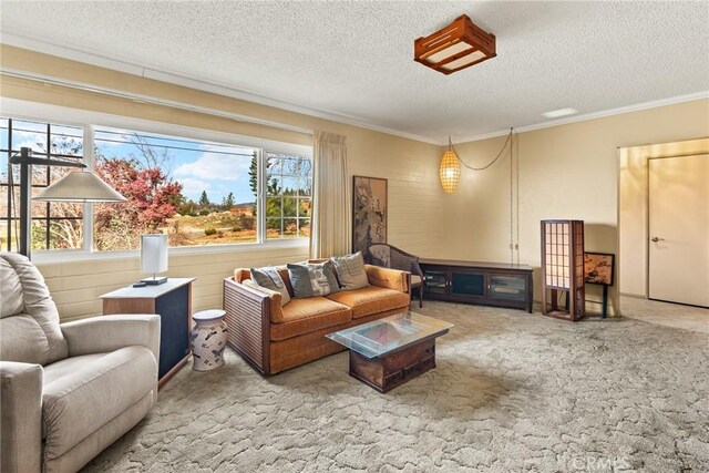 living room with carpet floors and a textured ceiling