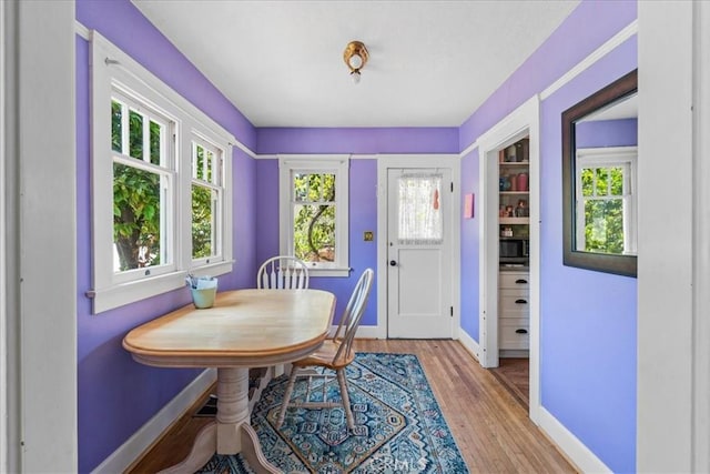 dining room with light hardwood / wood-style floors