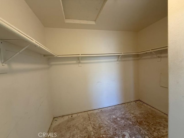 view of spacious closet