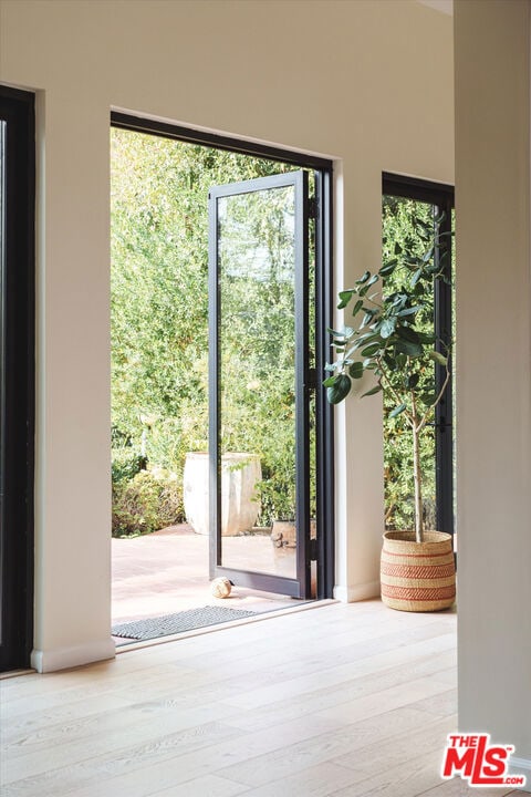 entryway featuring light hardwood / wood-style floors