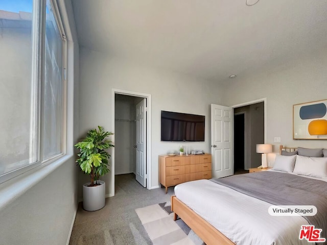 carpeted bedroom with a spacious closet