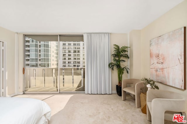 carpeted bedroom with expansive windows