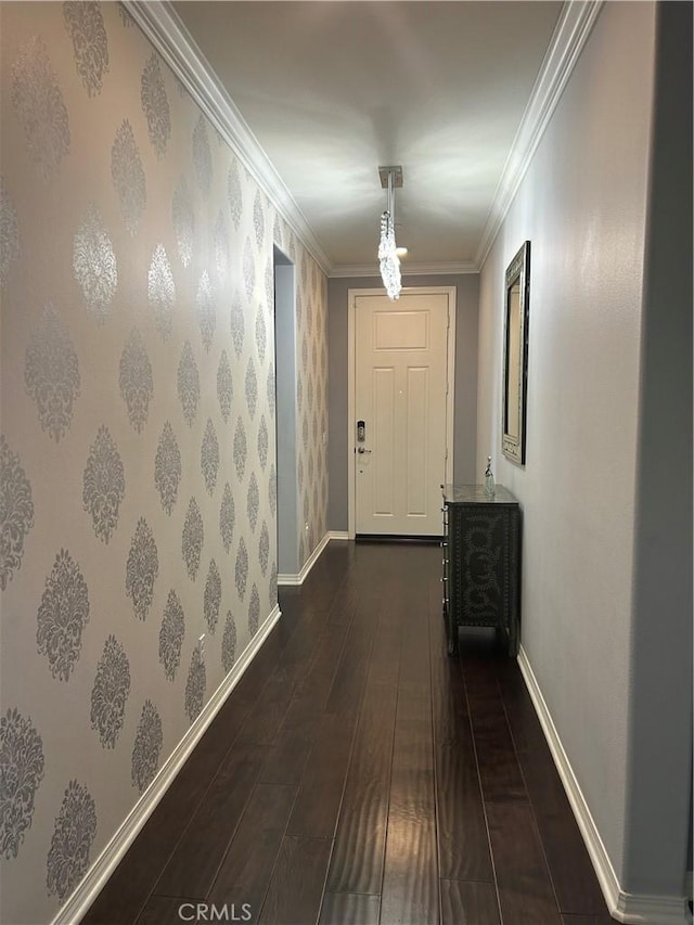 corridor featuring crown molding and dark hardwood / wood-style flooring