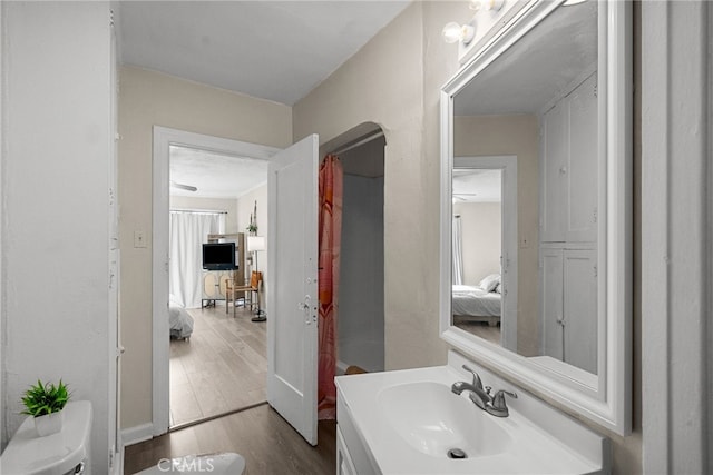 bathroom featuring hardwood / wood-style flooring, vanity, and toilet