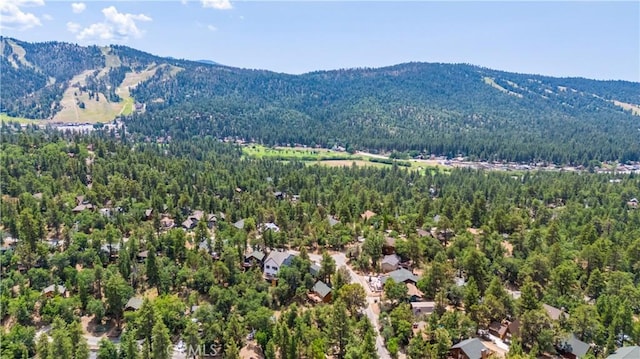 bird's eye view with a mountain view