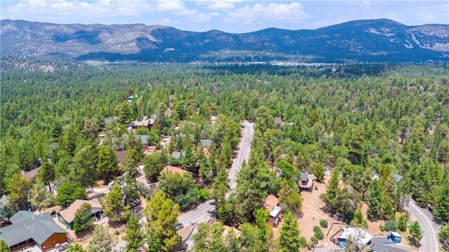 drone / aerial view with a mountain view