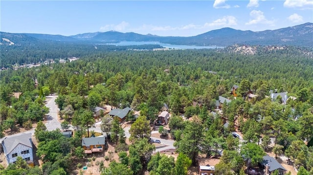 aerial view with a mountain view