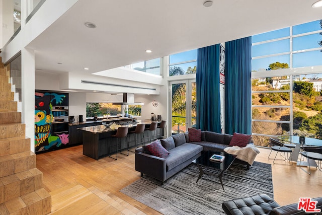 living room with light hardwood / wood-style floors and a high ceiling