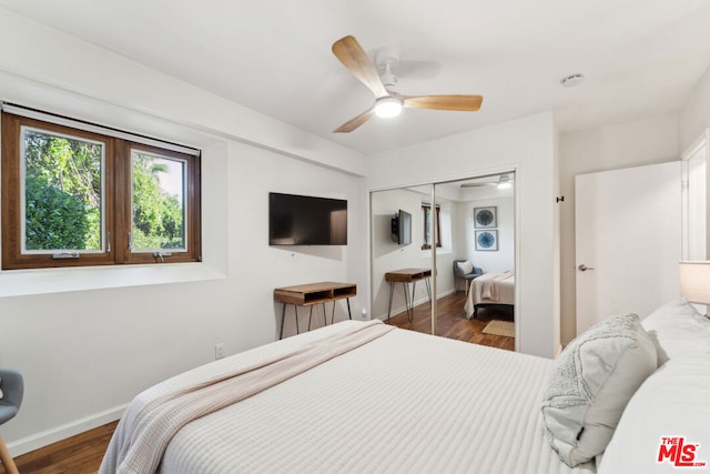 bedroom with dark hardwood / wood-style flooring, a closet, and ceiling fan