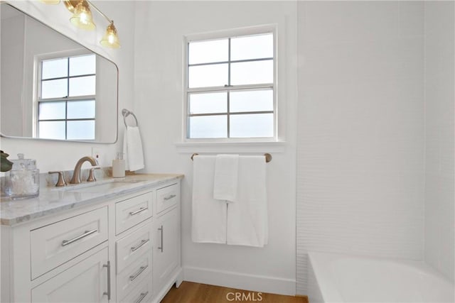 bathroom with hardwood / wood-style flooring and vanity