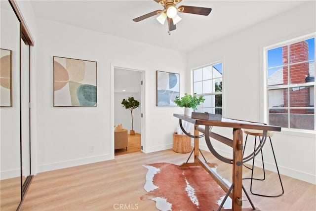 office space with ceiling fan and light hardwood / wood-style floors