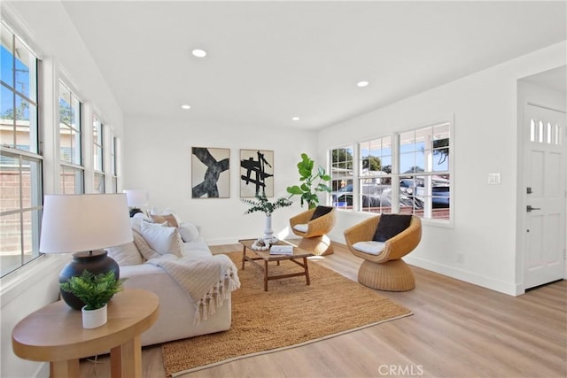 living room with light hardwood / wood-style floors