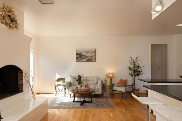 living room with a premium fireplace and light wood-type flooring