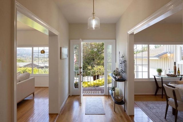 doorway to outside featuring a healthy amount of sunlight and light wood-type flooring