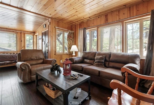 living room featuring wood walls, a healthy amount of sunlight, dark hardwood / wood-style floors, and wooden ceiling