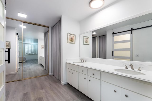 bathroom featuring vanity and wood-type flooring