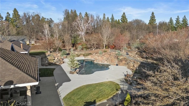 view of swimming pool featuring a patio