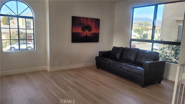 living room with a mountain view and light wood-type flooring