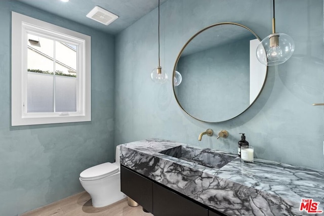 bathroom with vanity, wood-type flooring, and toilet