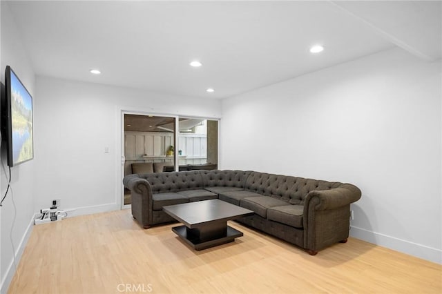 living room featuring light hardwood / wood-style flooring