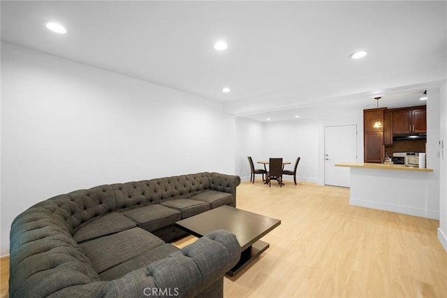 living room with light hardwood / wood-style floors