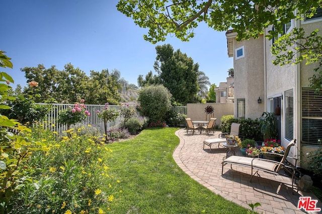 view of yard with a patio area