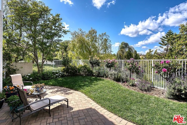 view of yard with a patio area