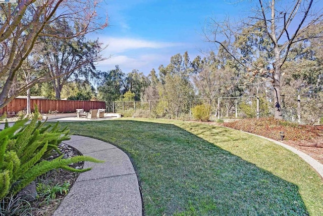 view of yard featuring a patio