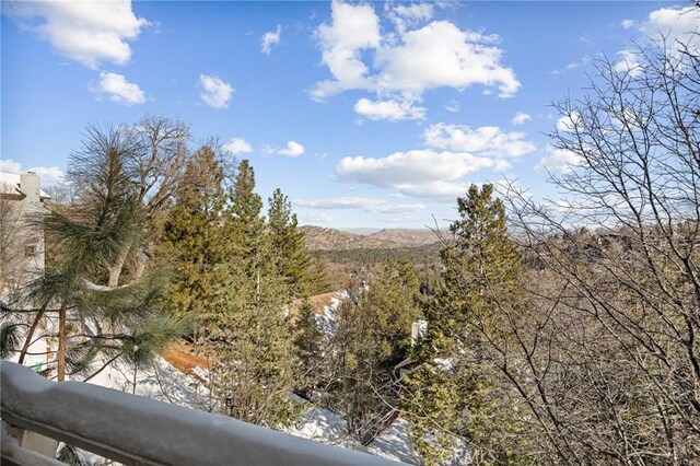 1219 Klondike Dr, Lake Arrowhead, CA 92352 - photo 30