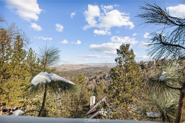 1219 Klondike Dr, Lake Arrowhead, CA 92352 - photo 27