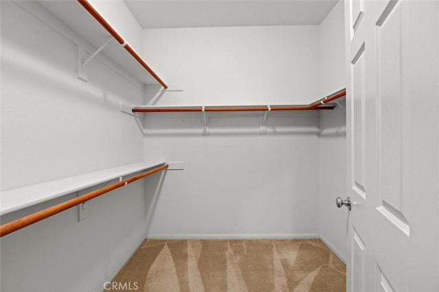 spacious closet with light colored carpet