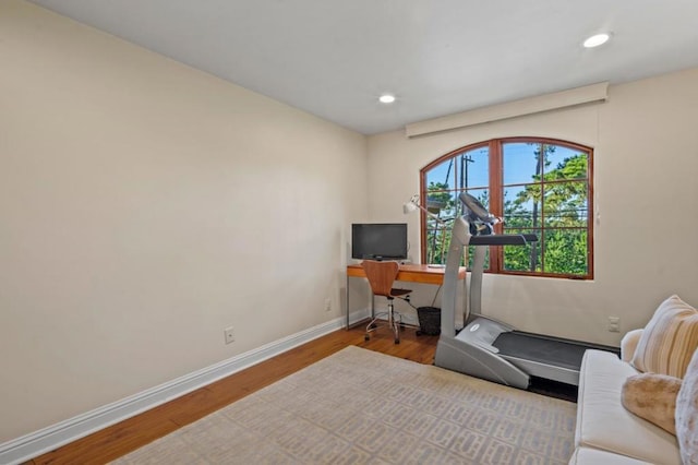 home office featuring wood-type flooring